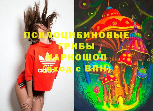 тгк Богданович