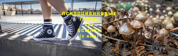 дурь Ростов