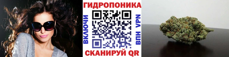 Канабис ГИДРОПОН  Балашиха 